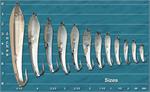 Silver Drone Spoons